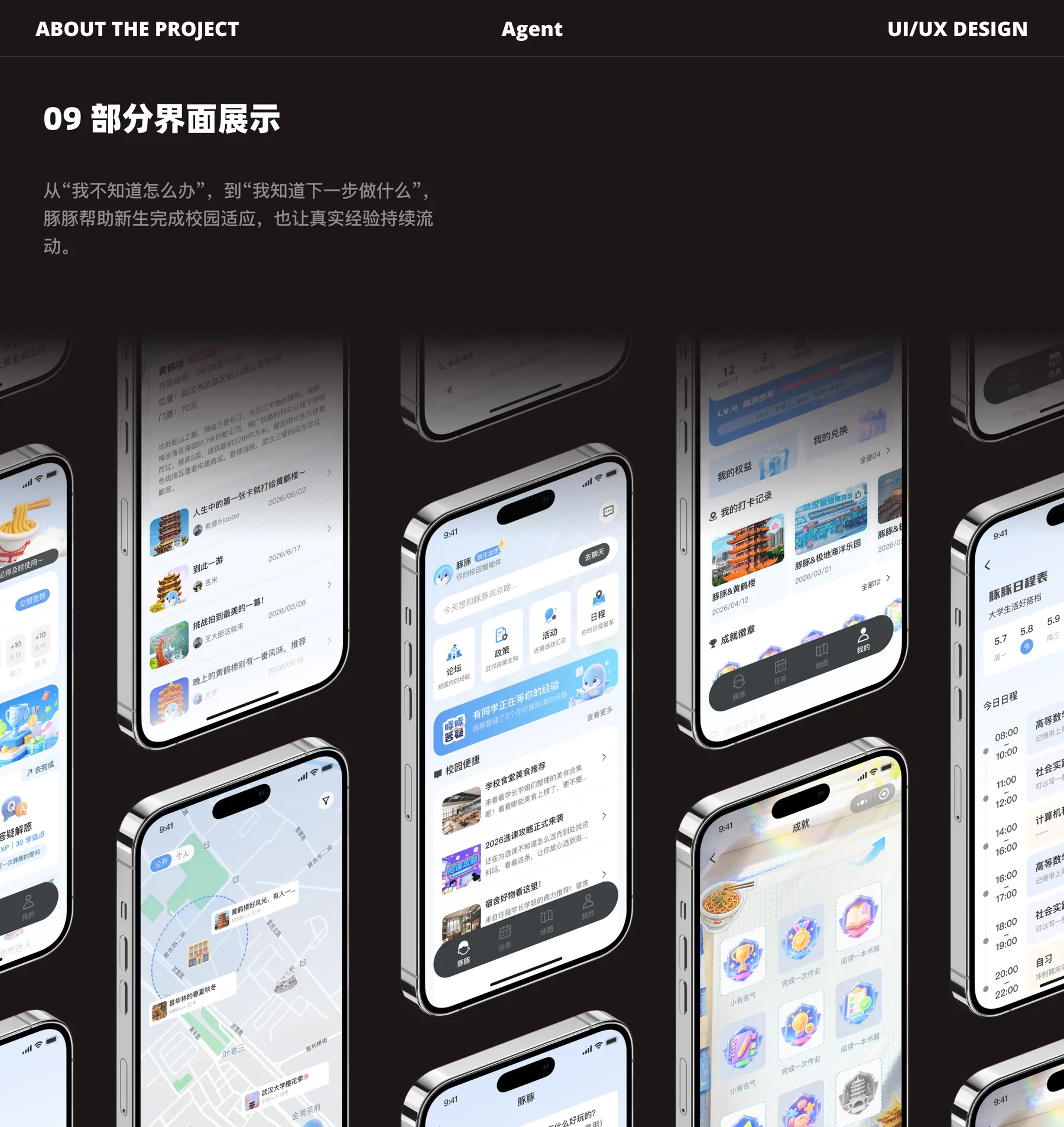 豚豚 项目页面 11
